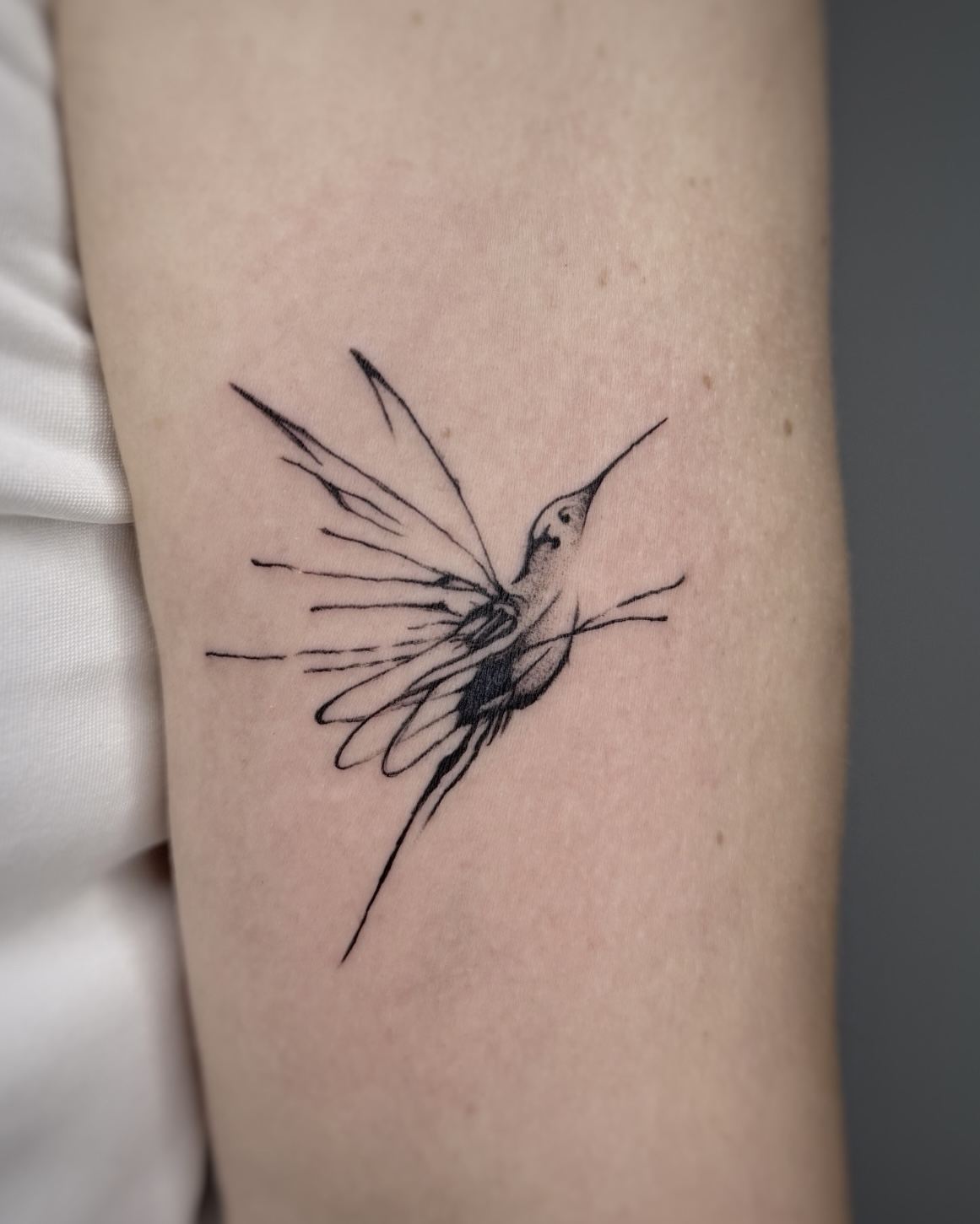 Sinop sketch kol dövmesi — siyah çizgisel sinek kuşu, GreenGallery Tattoo